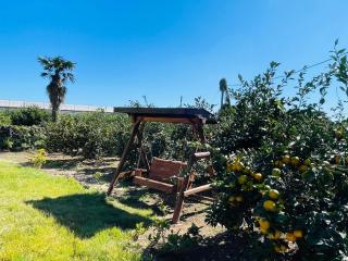 Jaeju Nansan Gaok - 4