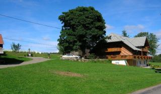 Bärenhof Backhaus - Eisenbach - 1