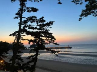 Taean Leo Minbak - Taean - 6