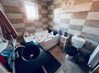 Transilvania Guesthouse - Miercurea Sibiului - 9