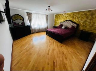 Transilvania Guesthouse - Miercurea Sibiului - 8