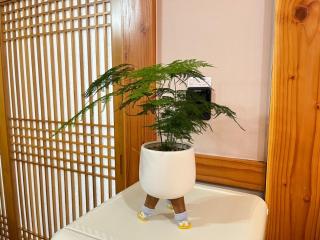 Suncheon Sumiyeonga Hanok Private House - 4