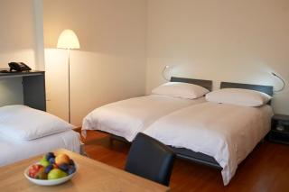 Congress Apartments by Hotel du Commerce - Basilea - 1