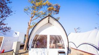 Gapyeong The Camp Caravan Glamping - 9