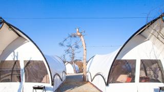 Gapyeong The Camp Caravan Glamping - 8