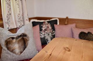 Berghof Almzeit - Fewo "Philosophenstüble", Sauna, Todtnauberg, Feldberg - Todtnau - 4
