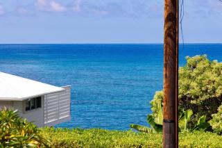 Endless Summer Hale - Kailua-Kona - 7