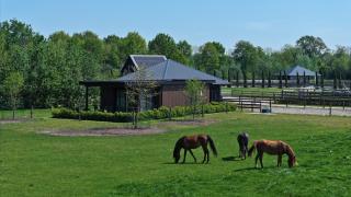 Sunset Lodge - Lutten - 4