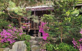 Goesan Jakeun Saejae Pension - - 6