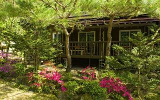 Goesan Jakeun Saejae Pension - - 3
