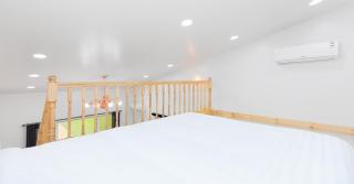 The Stay Gold Dog - Taean - 9