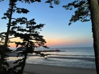 Taean Leo Minbak - Mohang-ni - 1