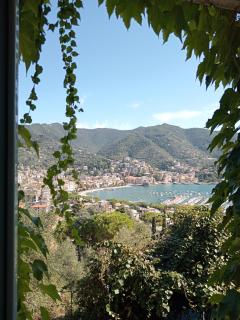 Sunrise - Rapallo - 9