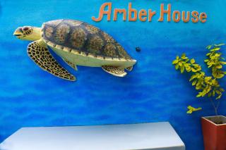 Amber House Lanka - Bentota - 6