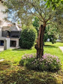 Vergina Luxury Apartment - Vergina - 8