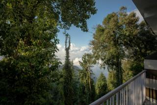 Hotel Blue Heaven - Best Hotel in Dalhousie - Dalhousie - 5