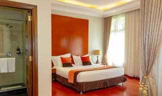 Alba Hotel Meru - Meru - 8