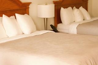 Quality Inn near Chattanooga South - Ringgold - 7