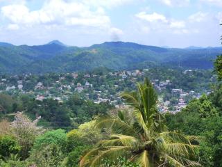 Hanthana Breeze Home Stay - Kandy - 4