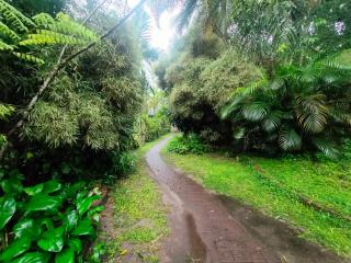 Sarse's Paradise Resort - Lahit - 4