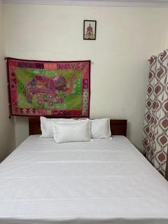 House of Tourists - Jodhpur - 8