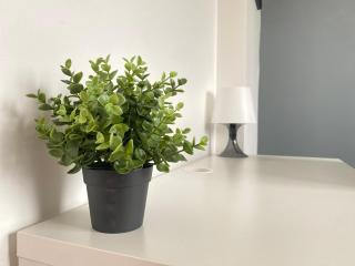 Au dessus du jardin - 185 - 2