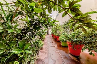 Suite Notre Dame 1 Bedroom - Paris - 1