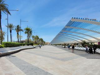 Penthouse Sabina - Torrevieja - 7