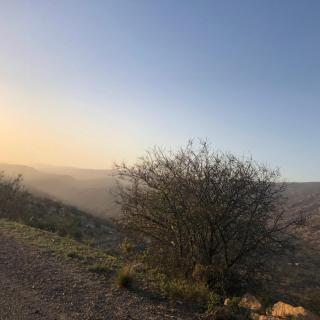 Mountain Oasis Taghazout - - 3