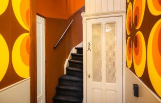 The Disco Duck A - city centre Zwolle - 1