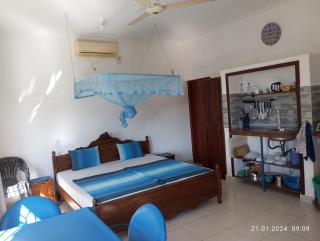 SC Galle with 25m Pool and kitchenette - GZ3 - Richmond Hill - 9