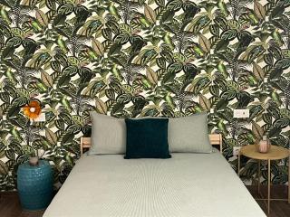 Studio Casa Azul - San Andrés - 9