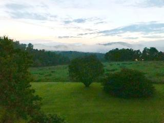 Three Springs Plus - Lovingston - 9