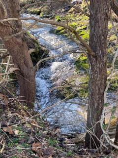 Three Springs Plus - Lovingston - 2