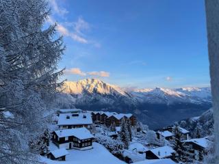 MP24 Ski in, out apartment on slopes with indoor private parking space - La Tzoumaz - 9