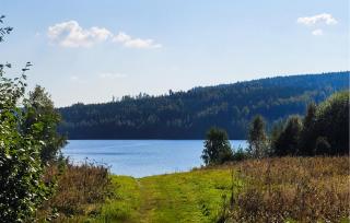 Nice Home In Gunnarskog With Lake View - Gunnarskog - 1