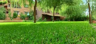 Country homes - Ourika - 8