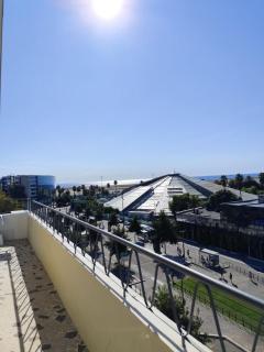 NICE PARC PHOENIX - Nizza - 8