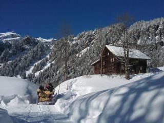 Absolut ruhige Aussichtslage in uraltem Holzhaus - Braunwald - 0