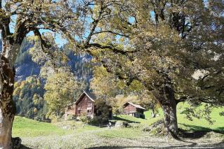 Absolut ruhige Aussichtslage in uraltem Holzhaus - Braunwald - 9