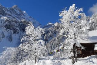Absolut ruhige Aussichtslage in uraltem Holzhaus - Braunwald - 2