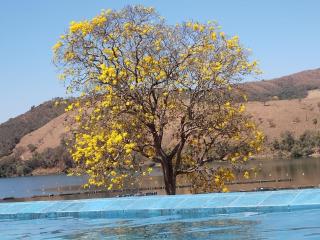 Chalés Ipê do Lago - Capitólio - 5