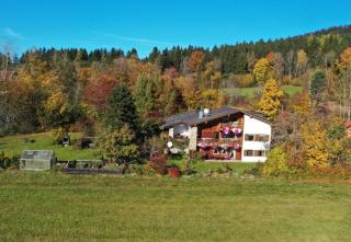 Landhaus Wildfeuer in Kirchdorf im Wald - Kirchdorf im Wald - 8