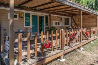 Glamping immerso nel verde - 2