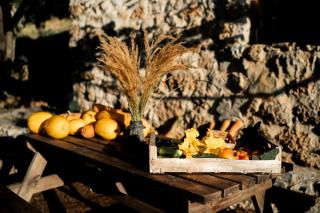 Altitude Ecolodge Yourte - 4