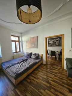 FERIENWOHNUNG APARTMENT in ZITTAUER STADTZENTRUM INNENSTADT INNENRING TOP LAGE - WOHNEN AUF ZEIT IN ZITTAU - 1 RAUM WOHNUNG - Zittau - 9