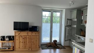 Villa Fichteneck - Oberhof - 5