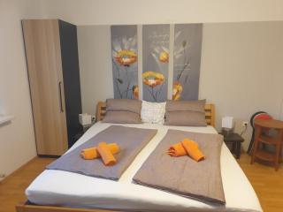 "Wohlfühl-Oase im Zentrum von Villach-1 Zimmer, Apartment , Garconniere Villach City - Villach - 7