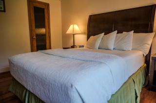 Toucans Retreat Tranquil 1BR Condo with Patio 102 - South Padre Island - 4