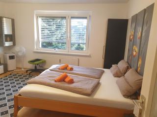 "Wohlfühl-Oase im Zentrum von Villach-1 Zimmer, Apartment , Garconniere Villach City - Villach - 9